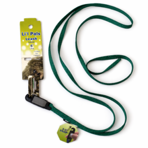 Correa Li'l Pals verde