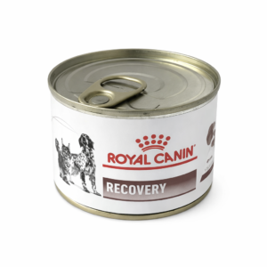 Lata Royal Canin Recovery para mascotas