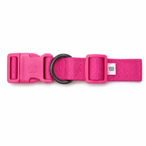 Collar para Perro Morado
