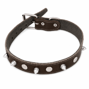Collar con Púas para Perro